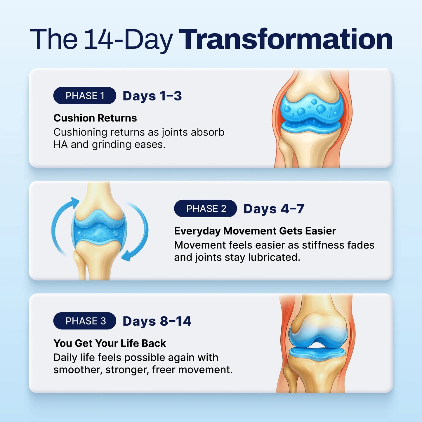 VitalHydra Hyaluronic Acid